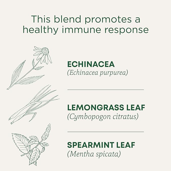 Traditional Medicinals Organic Echinacea Plus - Promotes Immune Support - Kosher Non-GMO Caffeine-Free Compostable - 96 Tea Bags (6 Packs of 16)