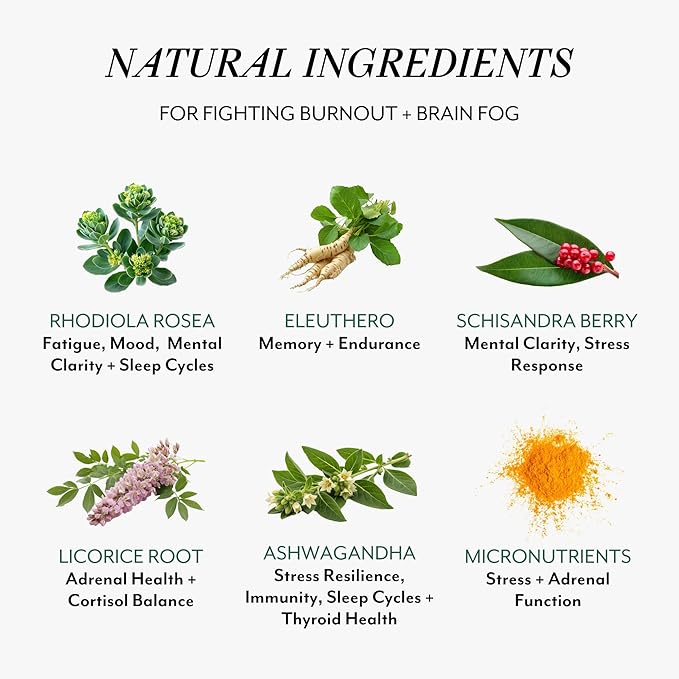 Veracity Fatigue Ease Adrenal Support Supplement for Stress Resilience Healthy Cortisol &amp Energy - Adaptogenic Blend of Ashwagandha Schisandra Berry Licorice &amp Rhodiola – 100% Natural - 60
