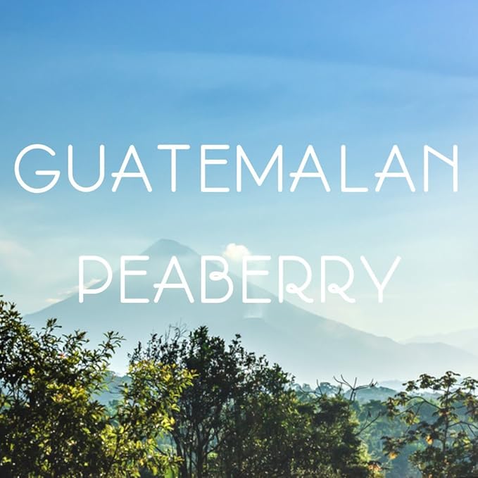 Guatemala Peaberry Coffee Ground Antigua Medium Roast Single Origin 5 lbs