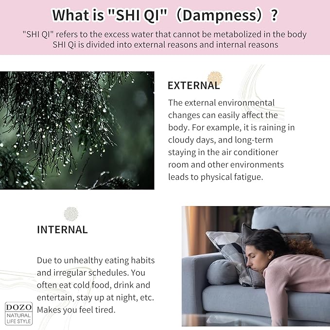 DOZO Dispelling Dampness Tea 11.28oz/320g (30bags) Herbal Health Shiqing Tea Bags Moisture Removing with Red Beans Job's Tears Barely Gorgon Caffeine Free 祛湿茶 去湿 赤小豆薏米芡实茶
