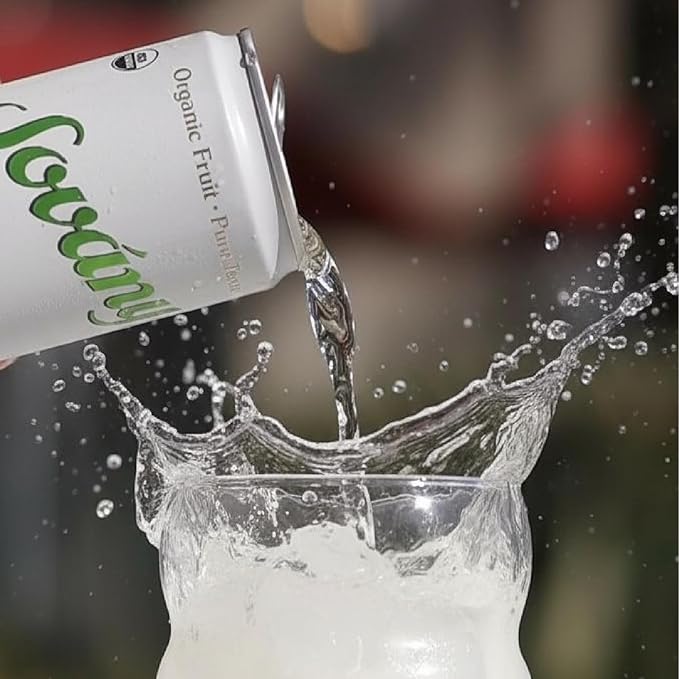 Sovány Sparkling Water Green Apple Seltzer Water Drinks USDA Organic Made With Real Fruit Non-GMO Vegan No Added Sugar Low Calorie 12 fl oz 12 Pack