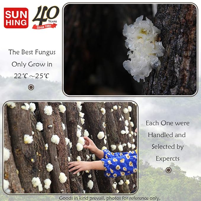 Beauty White Fungus Dried Snow Fungus Tremella Mushroom 4.6oz. 頂級雪耳花（Pack of 2）