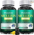 2 Packs 3000MG Organic Mullein Gummies for Lung Mullein Leaf Extract for Lungs - Quercetin Bromelain for RespirationImmune and Digestive Support 120 Count Blueberry Gummys