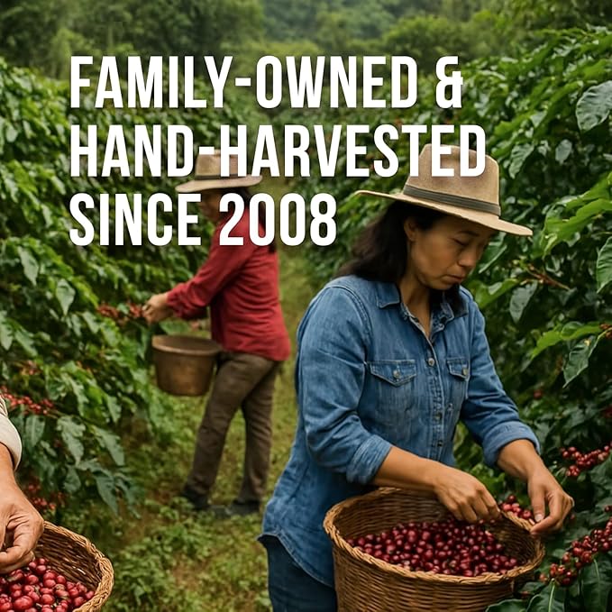Don Memo Premium Ground Coffee – Single Pack – 2 lb Bag – Medium Roast – 100% Arabica from Honduras – Single Origin – Fresh Roasted &amp Ready to Brew – Family-Owned &amp Ethical