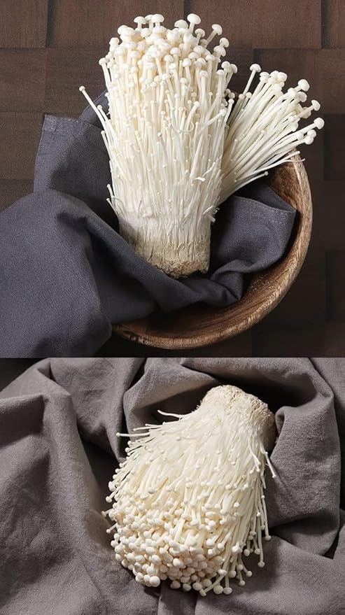 Organic Natural Pure Enoki Mushroom (flammulina velutipes) Enokitake Dried Bulk Herbs -(3.52 Ounce (100gram))