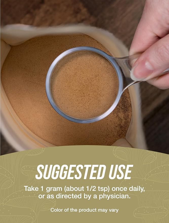 BulkSupplements.com Chaga Mushroom Extract Powder - Mushroom Supplement from Chaga Mushrooms - 1000mg of Chaga Powder Extract per Serving Gluten Free (5 Kilograms - 11 lbs)