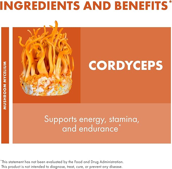 Host Defense Cordyceps Extract - Immune &amp Energy Support Supplement - Kidney Health Supplement with Cordyceps - Fitness Support to Aid Oxygen Uptake - 2 fl oz (60 Servings)*