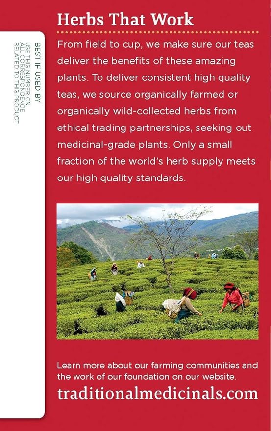 Traditional Medicinals Organic Echinacea Plus Herbal Tea - 16 Tea Bags - Case of 6