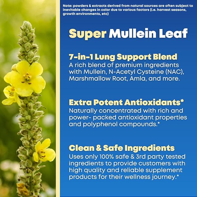 Mullein Leaf Extract &amp NAC Lung Detox Cleanse- N-Acetyl Cysteine Marshmallow Root Bromelain - Lung Health Sinus Mucus Removal Support Supplement for Smokers - 90 Capsules Non-GMO Gluten-Free