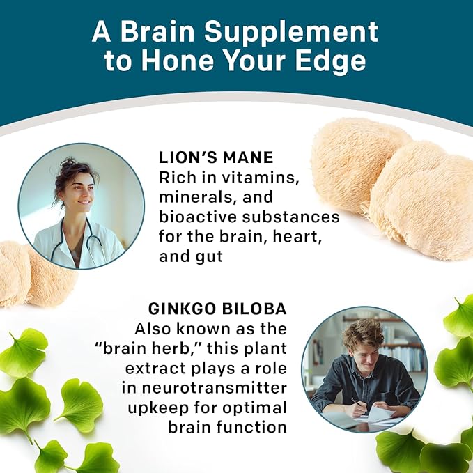 14-in-1 Lions Mane Supplement Capsules - Nootropic Brain Supplement with Ginkgo Biloba for Brain Support Memory and Focus - Alpha GPC L Theanine and Choline Supplements with 1300mg Per Serving - 2pk