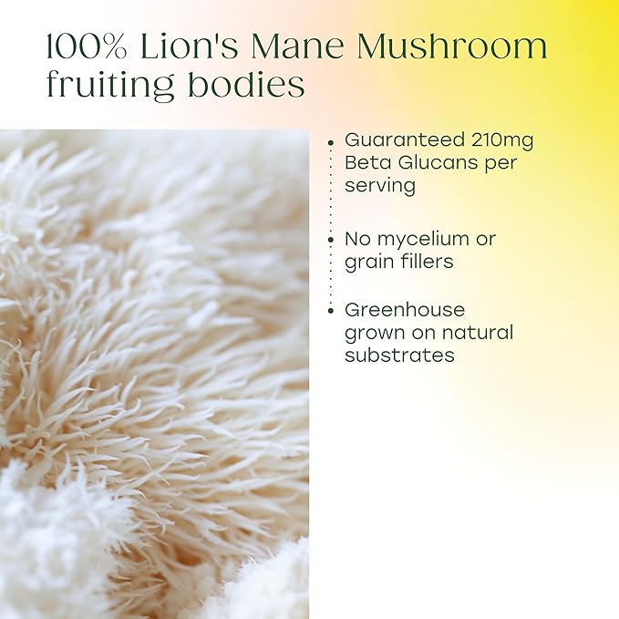 MegaFood Superfood Mushroom Focus Support - Lions Mane Supplement Capsules - Doctor Formulated – Lion’s Mane Mushroom Supplement with Clinically Studied Bacopa - Vegan - 60 Capsules 30 Servings
