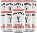 Owen’s Craft Mixers | Rio Red Grapefruit 10 Pack | Handcrafted in the USA with Premium Ingredients | Vegan &amp Gluten-Free Soda Mocktail and Cocktail Mixer