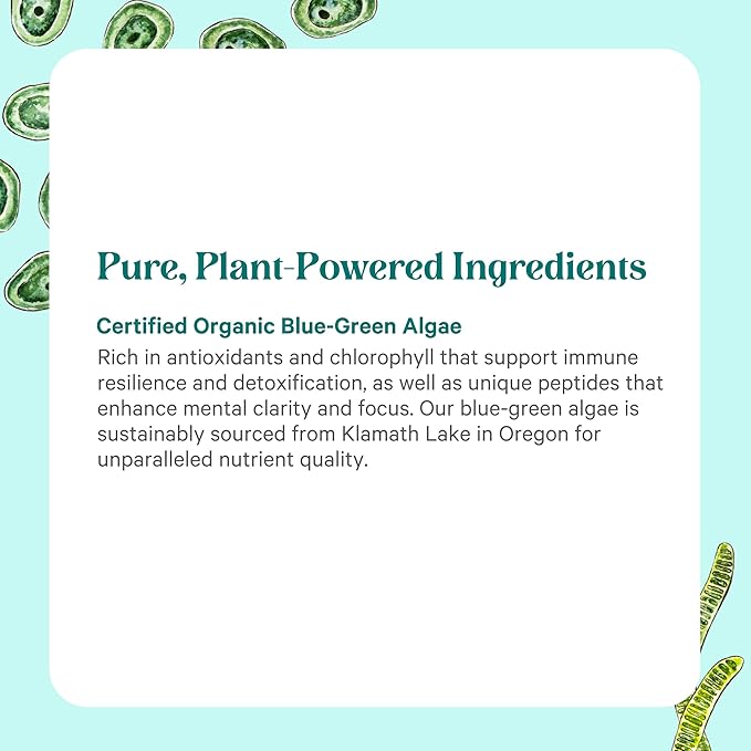 PURE SYNERGY Blue-Green Algae Capsules | Superfood with Chlorophyll | Organic Superfood Supplement from AFA Blue Green Algae | Supports Energy Mental Clarity and Detoxification (90 Capsules)