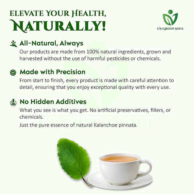 200 Kalanchoe Pinnata Leaves - 100% Pure Organic Dried Leaves for Teas Smoothies