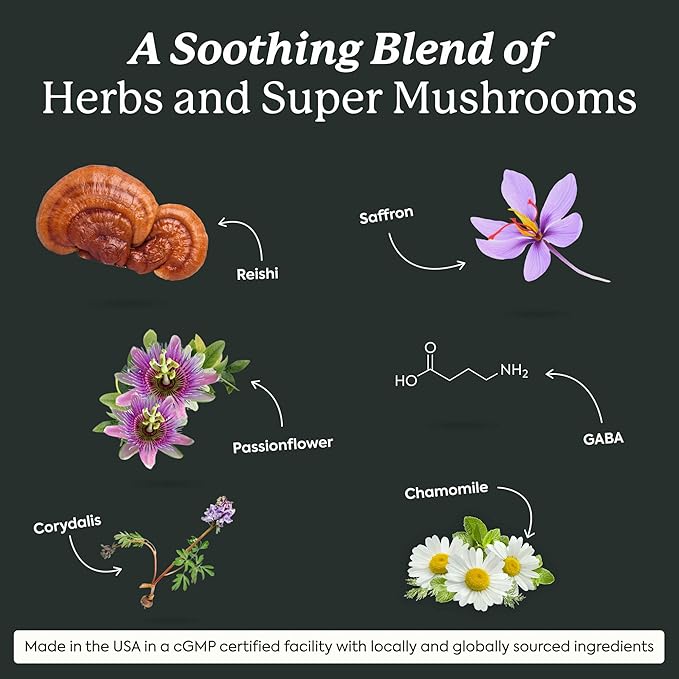 Plant People WonderSleep Mushroom Gummies Supplement for Sleep No Melatonin with Reishi Super Mushrooms Wild Elderberry Flavor Sugar-Free (60 Count)
