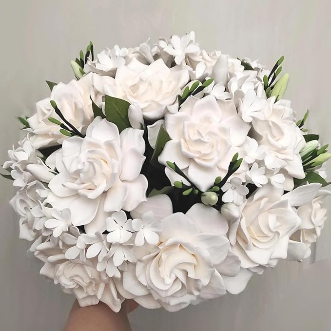 Gardenia Mystery - Gardenia Jasminoides. Hardy Evergreen Shrub with Large Sweetly Fragrant White Flowers Ideal for Landscaping and Container Gardening (2 Gardenia Mystery Plants in Sac)