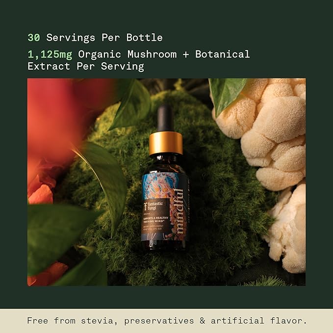 Fantastic Fungi Organic Mushroom Tincture - Mindful Elixir with Lions Mane Mushroom Extract Bacopa &amp Ginkgo Leaf - Drops for Focus Clarity &amp Memory Support - Formulated in USA 30 Servings