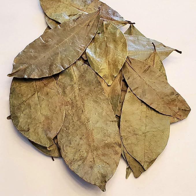 Soursop Leaves Hojas De Guanabana 1 oz x 3 Pack of Graviola Leaves for Tea - A Natural Caffeine - Free Bioavailable Superfood Rich in Powerful Antioxidants - in Zip Pouch