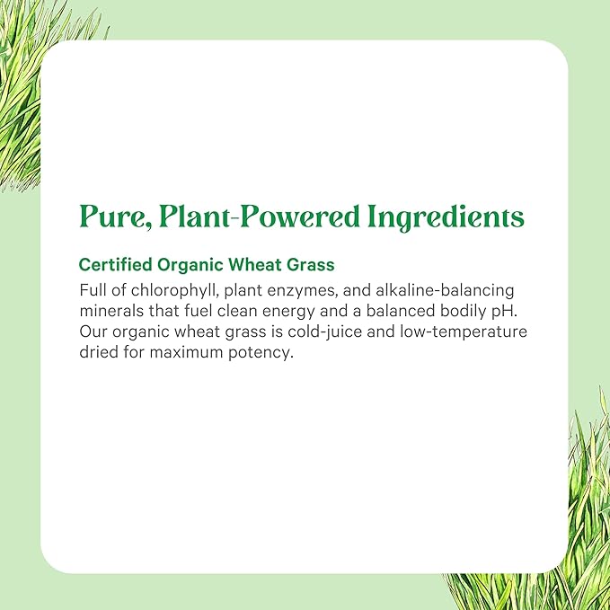 PURE SYNERGY Organic Wheat Grass Juice Powder | Chlorophyll-Rich Green Juice Powder | Raw Organic USA Wheat Grass | for Energy Alkaline Balance and Digestion Support (5.3 oz.)