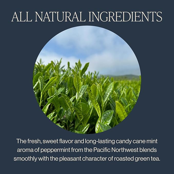 Rishi Tea Green Tea Mint - Organic Low Caffeine Loose Leaf Tea with Houjicha Roasted Japanese Green Tea &amp Peppermint Tea - 16 Ounces 90+ Servings
