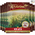 TeDivina Tea 12 Botanical Blend for Colon Cleanse and Body Support Original Flavor 0.3oz Pack of 6 by Vida Divina - Wellness Drink