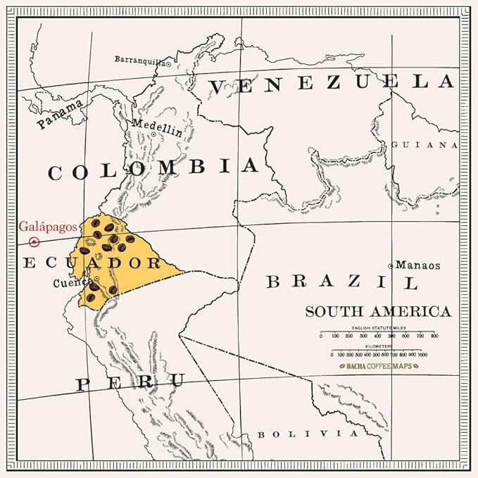 Bacha Coffee | San Cristóbal Ecuador Single Origin Medium Dark Roast 100% Arabica Specialty Coffee 12 Coffee Drip Bags Gift Box