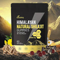 VivoNu Pure Himalayan Shilajit Gummies micronutrient Supplement Himalayan Premium Ingredient with Shilajit - Ashwagandha Gokshura Fulvic Acid &amp 85+ Trace Minerals I for Men Women I Non-GMO