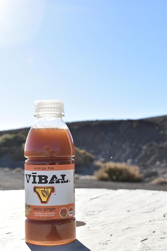 VIBAL ENERGY TEA Spicy Ginger 16 Fl Oz 6-Pack Natural Energy High Caffeine Ginseng Theanine Low Sugar Low Carb Low Calorie Adaptogens Nootropics