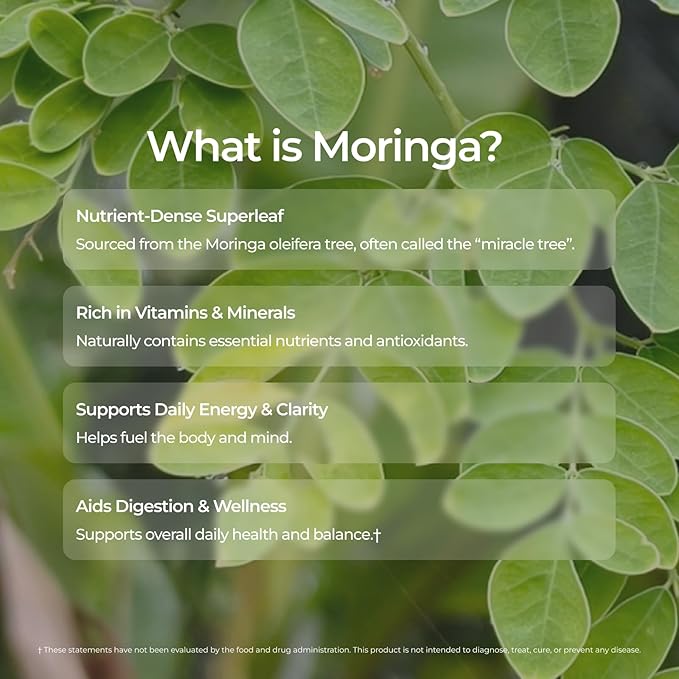 Livingood Daily Coffee with Moringa Ground Medium Roast Coffee with Plant Based Ingredients for Morning Energy Made with Moringa Powder Organic Non GMO Vegan Gluten Free 20 Servings 12 oz Bag