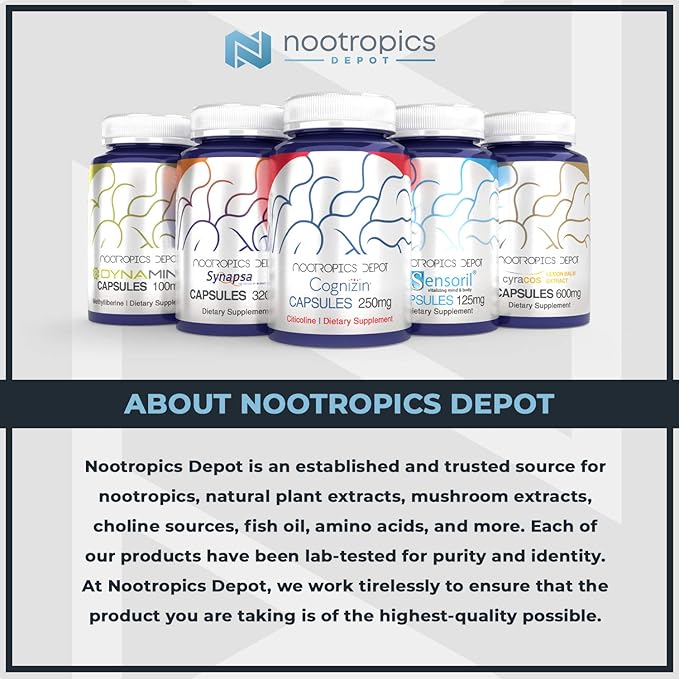 Nootropics Depot 78-Dihydroxyflavone Capsules | 25mg | 120 Count | 78 DHF | Brain Booster | Supports Cognitive Function and Brain Health