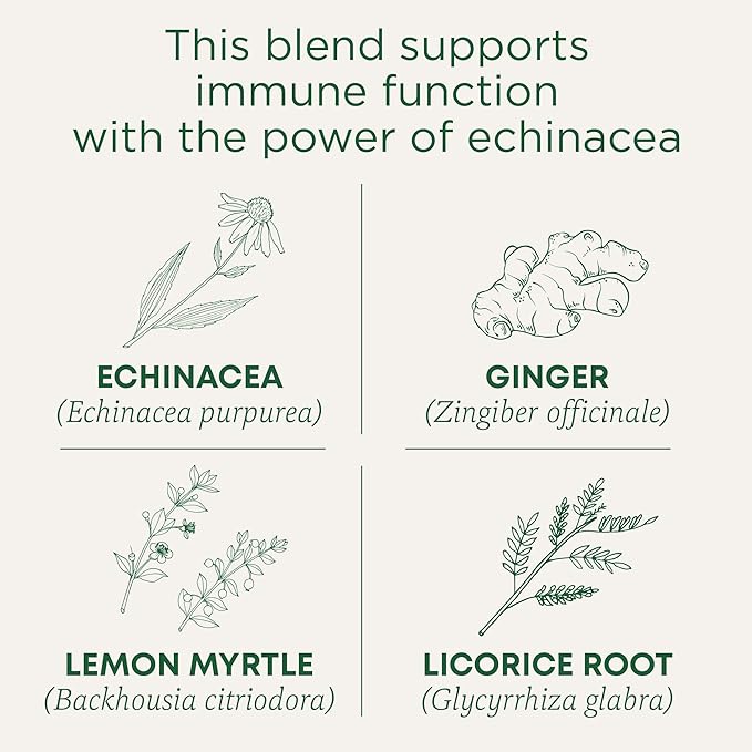 Traditional Medicinals Tea Organic Immune Zoom Lemon Ginger - Supports Immune Function - Kosher Non-GMO Caffeine-Free Compostable - 96 Tea Bags (6 Pack)