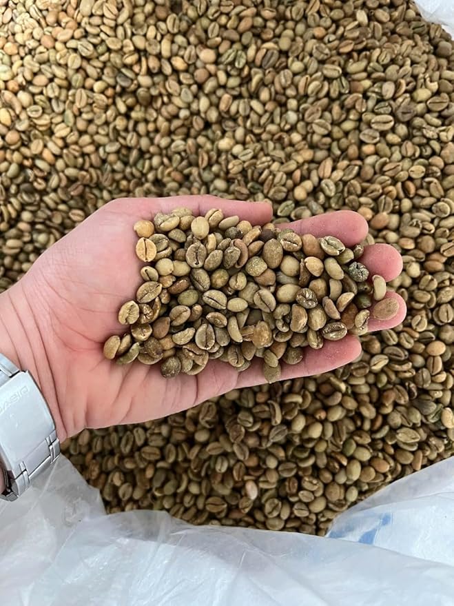 Excelsa Coffee – Vietnam Green Coffee Beans Unroasted 5 lbs | Rare Species Home Roasting Bright Fruity Flavor Low Caffeine