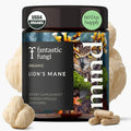Fantastic Fungi Lions Mane Supplement Capsules - Lions Mane Mushroom Supplement for Focus Memory &amp Mood - Adaptogenic Functional Mushroom Extract USDA Organic Vegan 120 Capsules (2-Month Suppl