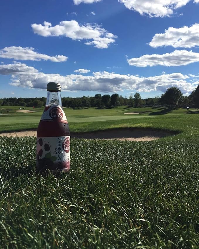 GuS Soda - Dry Blackberry - 12 oz (6 Glass Bottles)