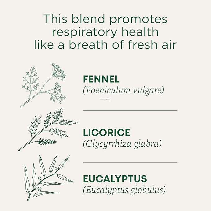 Traditional Medicinals Tea Organic Breathe Easy with Eucalyptus Mint Promotes Respiratory Health Kosher Non-GMO Caffeine-Free Compostable - 96 Tea Bags (Pack of 6