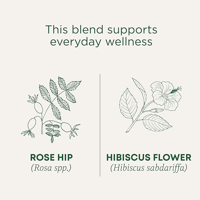 Traditional Medicinals Tea Organic Rose Hips &amp Hibiscus - Supports Everyday Wellness - Kosher Non-GMO Caffeine-Free - 96 Tea Bags (Pack of 6)