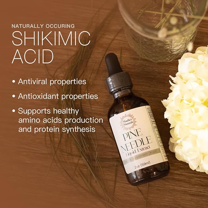 Noelle's Naturals Pine Needle Extract Tincture - Wildcrafted Eastern White Pine Needles Organic High Shikimic Acid Vitamin C &amp Antioxidants - Immune Support Drops 2 fl oz