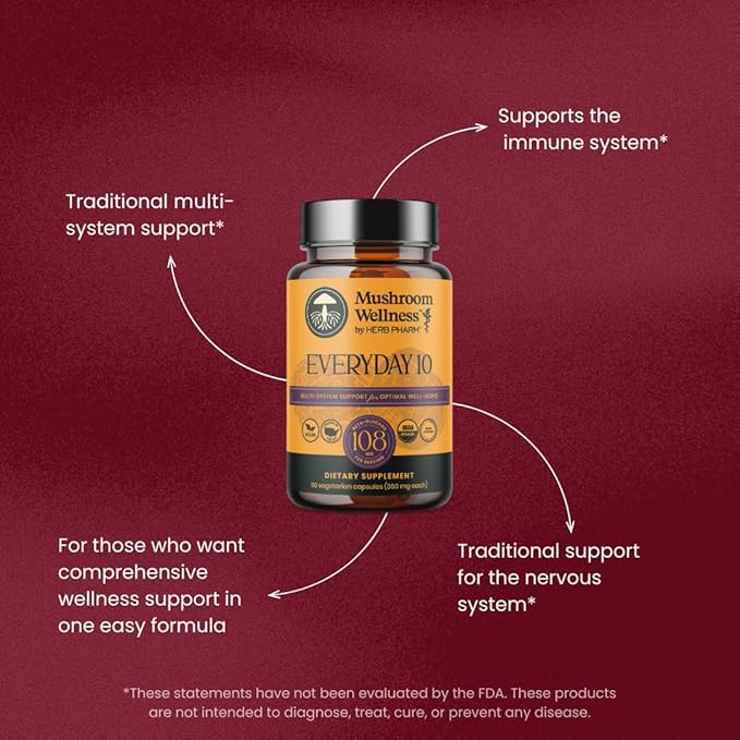 Mushroom Wellness Everyday 10: Organic 10-in-1 Mushroom Capsules with Lion's Mane Shiitake Reishi Turkey Tail &amp More Mushroom Powder Supplement Immune &amp Nervous System Support 90 Vegan C