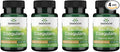Swanson Bacillus Coagulans Spore-Form Probiotic for Adults Seeking Shelf-Stable Digestive Support with 6 Billion CFU - Acid-Resistant (60 Vegan Capsules 4 Pack)