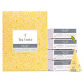 Tea Forte Earl Grey Premium Caffeinated Black Tea Blend Event Box Bulk Pack 40 Count 10 per tray Individually Wrapped Handcrafted Pyramid Infusers