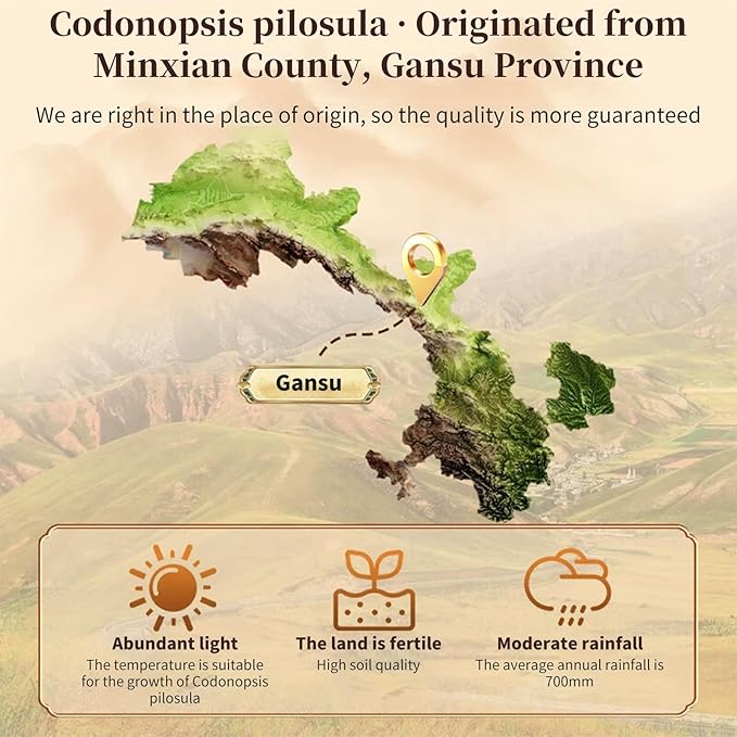 Baihuatang Natural Dried Codonopsis Root Tea 党参 Premium Grade Dang Shen (Codonopsis Pilosulae) | 3-Year Grown Hand-Picked Uniform Size | 200g (7.05oz) Bulk Herbs | No Additives Sulfur-Free