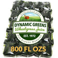 100% Wheatgrass Juice – Field-Grown Flash-Frozen Unpasteurized – 800 fl oz (1600 x 0.5 fl oz Portions) – Dynamic Greens