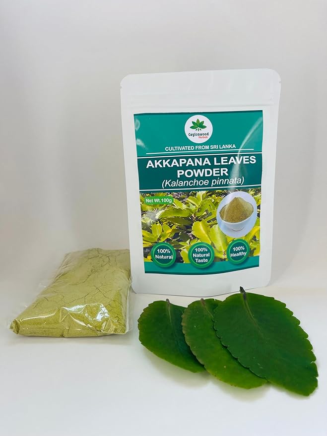 Organic Kalanchoe pinnata Leaves Powder 100g (Bryophyllum Pinnatum) Miracle leaf air plants Herbal Powder - Ceylonwood Herbals