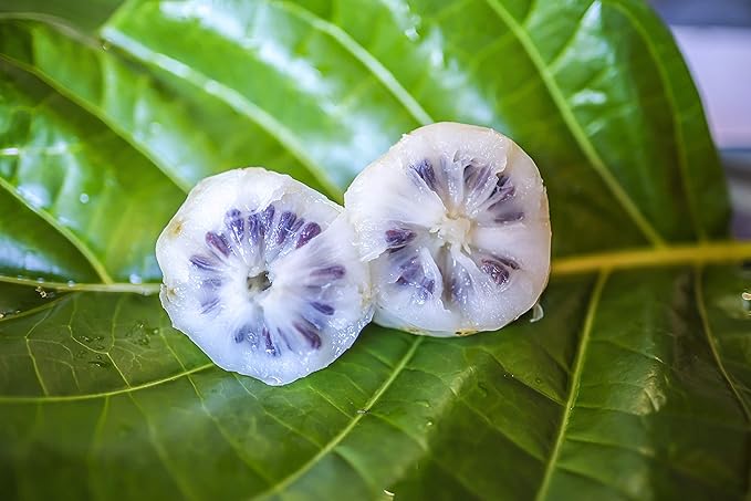 Wailua River Noni Juice (12)