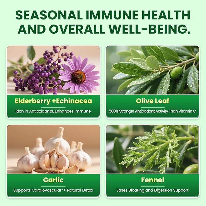 Oil of Oregano with Black Seed Oil - Oregano Oil Capsules Organic | Moringa Garlic Olive Elderberry Echinacea Fennel - 95% High Carvacrol Oregano Support Immune Digestive | 150 Capsules Non-GMO