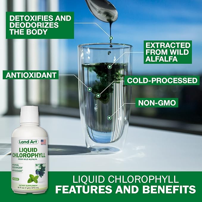 Land Art - Liquid Chlorophyll Mint – Cold-Extracted from Wild Non-GMO Alfalfa – Natural Clorofila Liquida – Antioxidant - Detox Supplement – Boost Energy – Alkalizing &amp Body Odor Neutralizer – 16