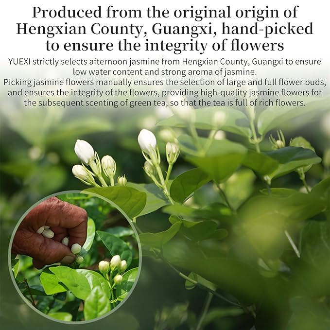 Yuexi Jasmine Tea Loose Leaf Jasmine Green Tea Loose Leaf Chinese Tea Rich Natural Aroma 茉莉花茶 茶叶 绿茶 200g/7.05oz