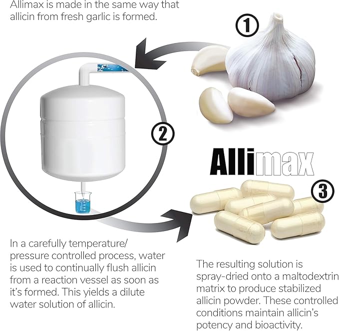 Allicin Garlic Supplement to Support Your Body’s Immune Function. with Stabilized Allicin Extracted from Clean &amp Sustainable Spanish Grown Garlic 450mg 100 Vegicaps