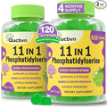 (2 Packs) Phosphatidylserine 600mg Gummies Brain Supplement for Memory Focus and Concentration - Phosphatidylserine Memory Supplement with Alpha GPC B6 &amp B12 for Brain and Cognitive 120 Gummie