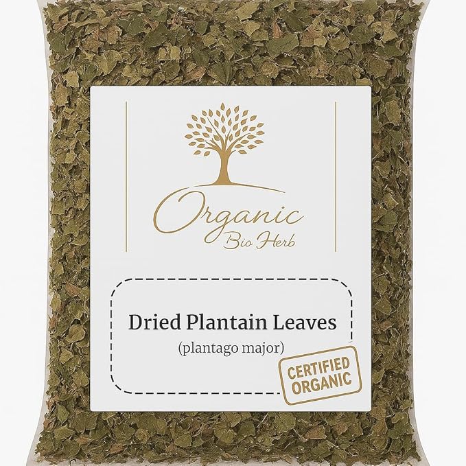Organic Bio Herbs-Premium Dried Plantain Leaves – Natural Herbal Tea &amp Wellness Support Whole Cut &amp Sun-Dried (Plantago major) 6 Oz.